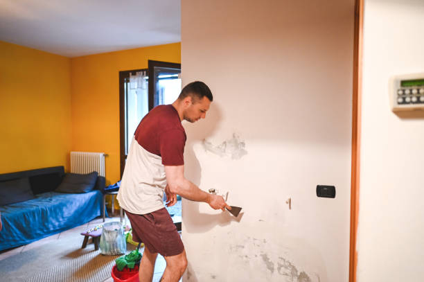Best Crawl Space Mold Removal  in Whitmire, SC