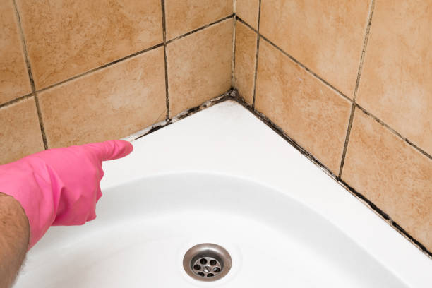 Best Mold Cleaning Services  in Whitmire, SC